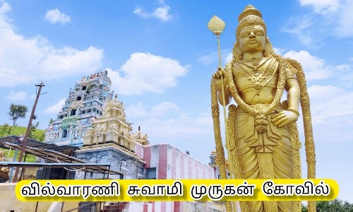 வில்வாரணி நட்சத்திரகிரி வள்ளி தெய்வானை சமேத சிவசுப்ரமணிய சுவாமி கோவில்