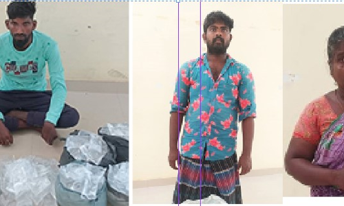 கடலூர் அருகே சோதனை:  330 லிட்டர் சாராய பாக்கெட்டுகள் பறிமுதல்-பெண் உள்பட 3 பேர் கைது