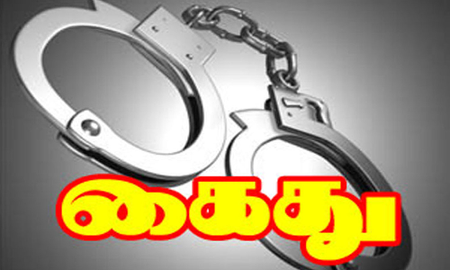 காட்டுப்பன்றிகளை வேட்டையாடிய 2 பேர் கைது