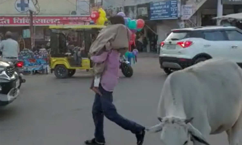 ஆம்புலன்சும் இல்லை... கையில் பணமும் இல்லை: சிறுமியின் உடலை தோளில் சுமந்தபடி பஸ்சில் சென்ற உறவினர்