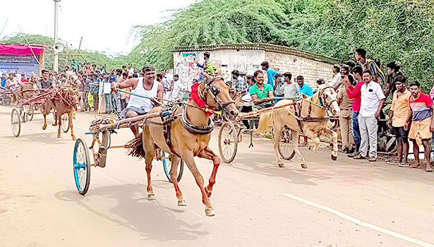 பூதங்குடியில், குதிரை வண்டி போட்டி