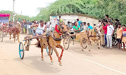 பூதங்குடியில், குதிரை வண்டி போட்டி