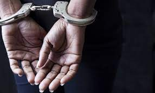 இரும்பு கதவை திருடி சென்ற 2 பேர் கைது