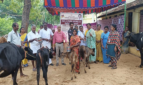 திருப்பணி செட்டிகுளத்தில்  சிறப்பு கால்நடை விழிப்புணர்வு முகாம்