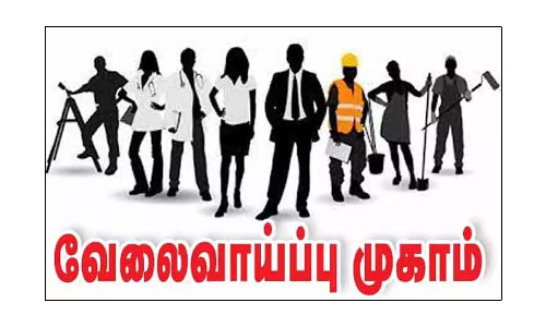 வேலைவாய்ப்பு, தொழில் நெறி வழிகாட்டும் மையம் சார்பில் தனியார் வேலைவாய்ப்பு முகாம் - 28-ந் தேதி ஆலங்குளத்தில் நடக்கிறது
