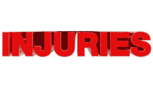 காட்டெருமை தாக்கி பிளம்பர் படுகாயம்