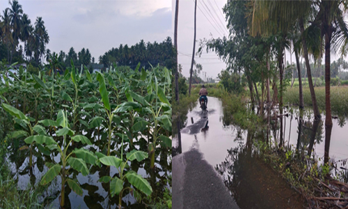 நாமக்கல்லில் கனமழை வாழை, நெல் வயல்களில் குளம்போல் தேங்கிய மழைநீர்