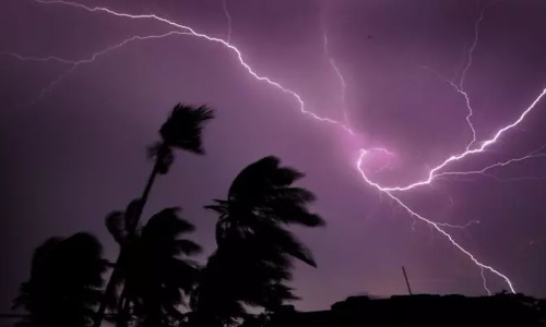 தென்னை மரத்தில் இடி விழுந்து  தீப்பிடித்தது