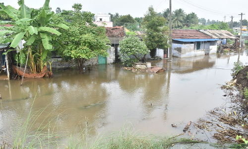 100-க்கும் மேற்பட்ட வீடுகளை வெள்ளம் சூழ்ந்தது
