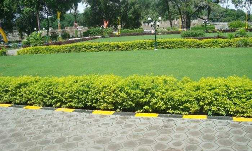 அழகிய பூங்காவுடன் நம்ம வேலூர் செல்பி பாயிண்ட்