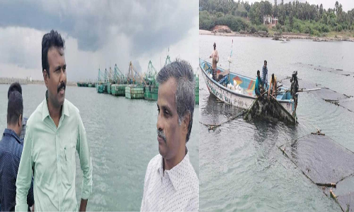 கடல் பாசி வளர்த்து மீனவ பெண்கள் அதிக லாபம் பெறலாம்