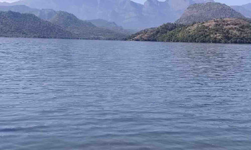 உடுமலை வனப்பகுதியில் தொடர் மழை அமராவதி அணைக்கு நீர்வரத்து அதிகரிப்பு - விவசாயிகள் மகிழ்ச்சி