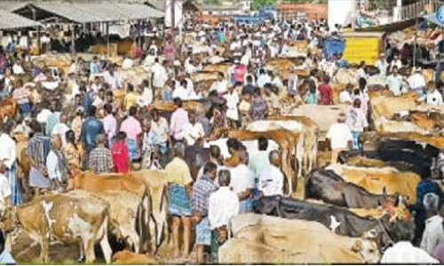 தீபாவளியொட்டி மாட்டு சந்தையில் குவிந்த வியாபாரிகள்