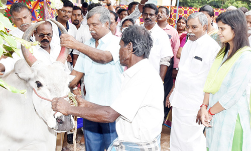 கால்நடை நோய் புலனாய்வு பிரிவு புதிய கட்டிடத்தில் கலெக்டர் குத்துவிளக்கேற்றினார்