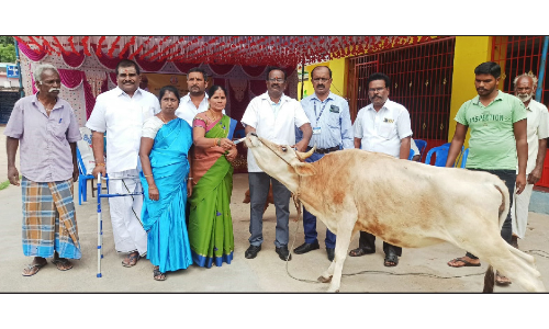 களர்பதி ஊராட்சியில்   கால்நடைகளுக்கு சிறப்பு சிகிச்சை முகாம்