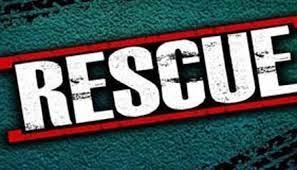 பண்ருட்டி அருகே 2 குழந்தைகளுடன் மாயமான தாய் மீட்பு