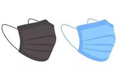 புளு காய்ச்சல் பரவலை தடுக்க முககவசம் அணிய அறிவுறுத்தல்