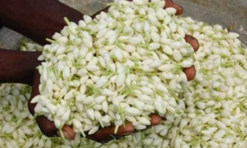 நாளை தீபாவளி பண்டிகை- பூக்கள் விலை 3 மடங்கு அதிகரிப்பு