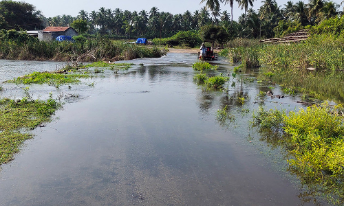 கீழ்பவானி வாய்க்காலில் இருந்து ஓடை வழியாக தண்ணீர் திறப்பு