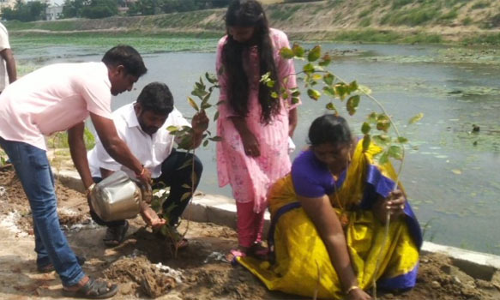 மாமல்லபுரத்தில் குளங்களை பாதுகாக்க பேரூராட்சி நிர்வாகம் பனை விதைகளை விதைத்தது