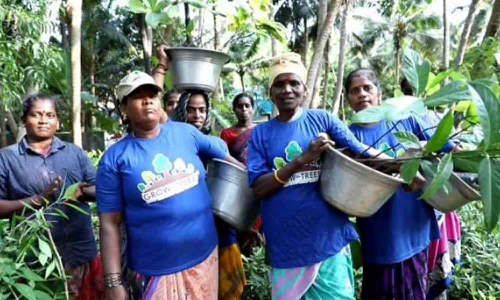 கிராம பெண்ணின் தெம்மாங்கு பாட்டு   சமூக வலைதளத்தில் வைரல்