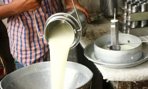 கால்நடைகளுக்கு அம்மை நோய் பரவி வருவதால்  கிருஷ்ணகிரி மாவட்டத்தில்  பால் உற்பத்தி பாதிப்பு  -பட்டாசு வெடிப்பதை தவிர்த்த மக்கள்