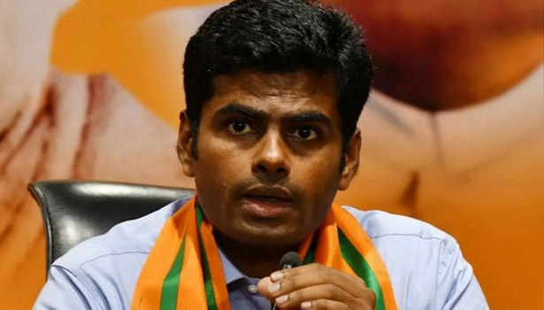 தமிழ்மொழி மேம்பாட்டுக்கு தி.மு.க. அரசு எதுவும் செய்யவில்லை- அண்ணாமலை குற்றச்சாட்டு