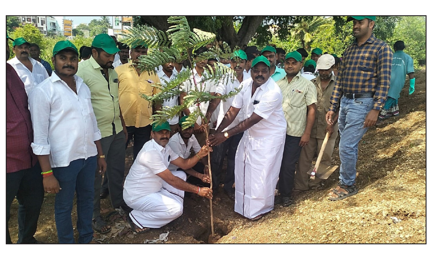 கடத்தூர் ஏரிக்கரையில்  மரக்கன்றுகள் நடும் விழா
