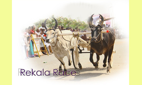 தேவர் குருபூஜை விழாவையொட்டி மாட்டு வண்டி பந்தயம்