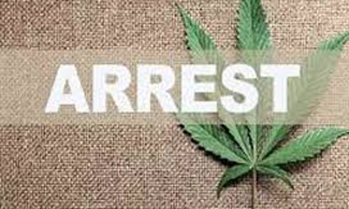 உடையார்பாளையத்தில் கஞ்சா விற்ற 2 பேர் கைது