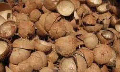 தேங்காய் சிரட்டை விலை உயர்வு - விவசாயிகள் மகிழ்ச்சி