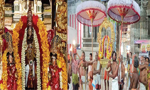 சோளிங்கர் லட்சுமி நரசிம்மர் கோவிலில் சாமி ஊர்வலம்