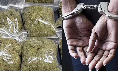 ரெயிலில் கஞ்சா கடத்திய வடமாநில வாலிபர் கைது