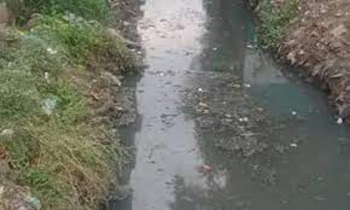 வாய்க்காலில் தேங்கும் கழிவுநீரால் மக்கள் அவதி