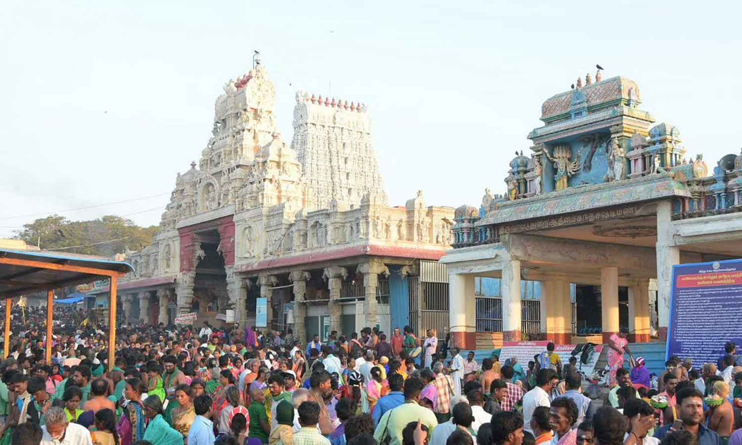 கந்தசஷ்டி விழா: திருச்செந்தூர் கோவிலில் விரதம் மேற்கொள்ளும் பக்தர்கள் கந்தசஷ்டி விழா: திருச்செந்தூர் கோவிலில் விரதம் மேற்கொள்ளும் பக்தர்கள்