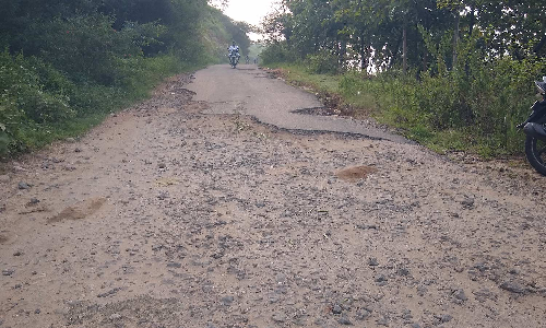 வருசநாடு அருகே சேதமடைந்த சாலையால் பொதுமக்கள் தவிப்பு  ஆம்புலன்ஸ் வாகனங்கள் செல்ல முடியாத நிலை