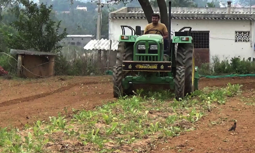ஓசூர் பகுதியில் விலை வீழ்ச்சி காரணமாக   டிராக்டர் மூலம் முள்ளங்கி பயிர்களை அழித்த விவசாயி