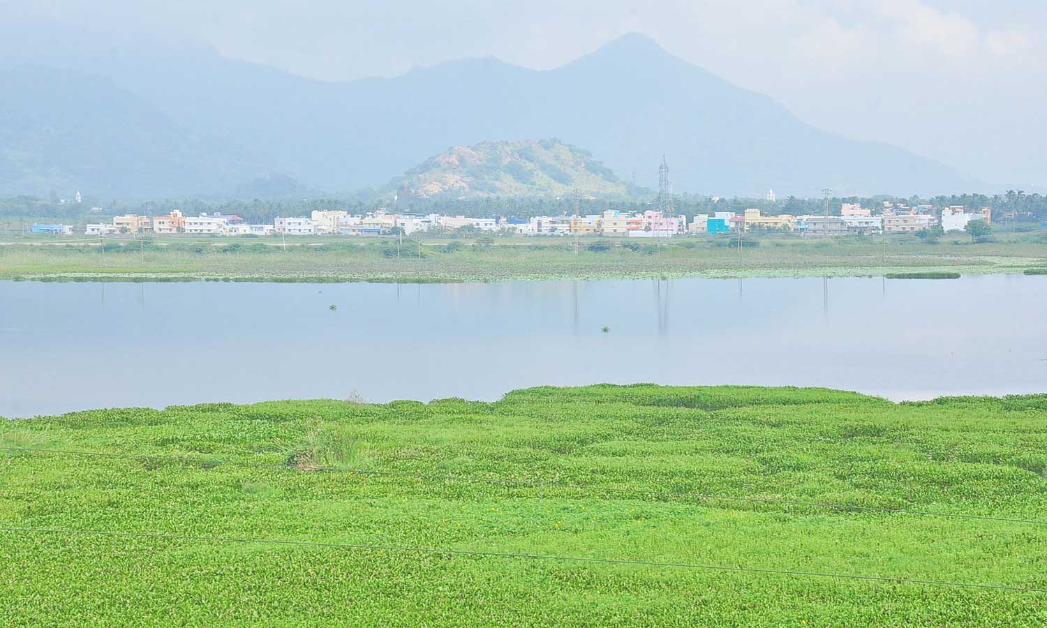 நாகர்கோவிலில் 19.8 மி.மீ. மழை