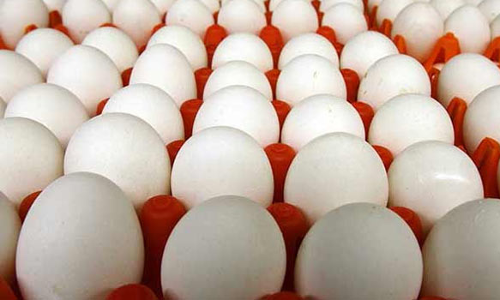 பறவை காய்ச்சல் எதிரொலி: கேரளாவில் இருந்து நீலகிரிக்கு கோழி முட்டை கொண்டு வர தடை