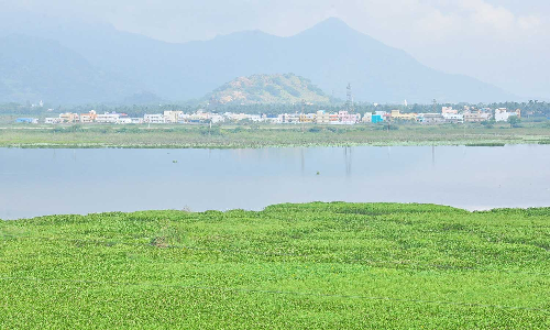 நாகர்கோவிலில் 19.8 மி.மீ. மழை