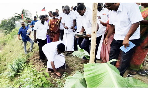 2 ஆயிரம் பனை விதைகள் நடும் பணி