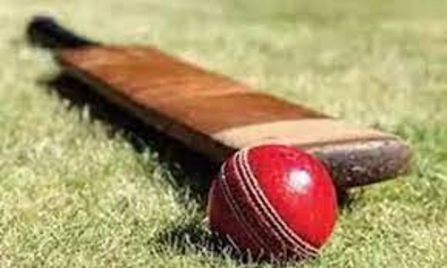 மாற்று திறனாளி கிரிக்கெட் போட்டிக்கு தமிழக அணிக்காக விளையாட அரியலூர் மாவட்டவீரர்கள் தேர்வு