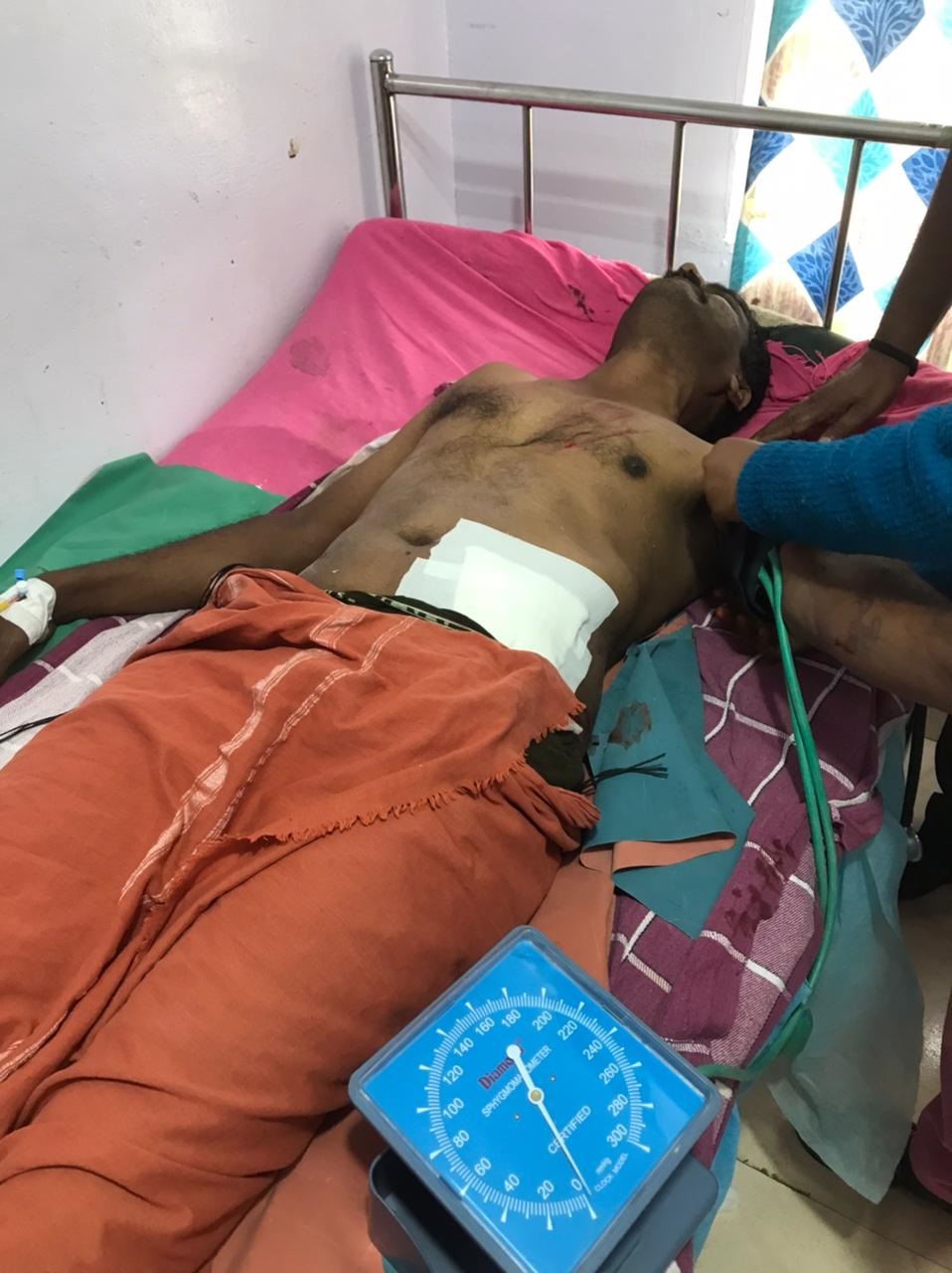 நீலகிரியில் காட்டெருமை தாக்கி வனக்காப்பாளா் காயம் நீலகிரியில் காட்டெருமை தாக்கி வனக்காப்பாளா் காயம்