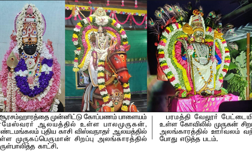 பரமத்தி வேலூர் பகுதியில் உள்ள   முருகன் கோவில்களில் சூரசம்ஹார விழா கோலாகலம்