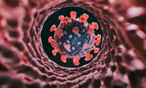 கொரோனாவுக்கு 7 பேர் பாதிப்பு