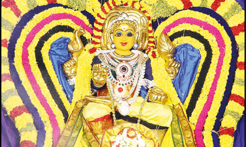 கபிலேஸ்வரர் கோவிலில் தட்சிணாமூர்த்தி ஹோமம்