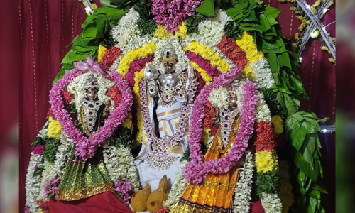 பரமத்திவேலூர் பகுதியில்  முருகன் கோவில்களில் திருக்கல்யாண வைபவம்