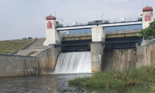 மிருகண்டா அணையிலிருந்து 65 கன அடி தண்ணீர் திறப்பு