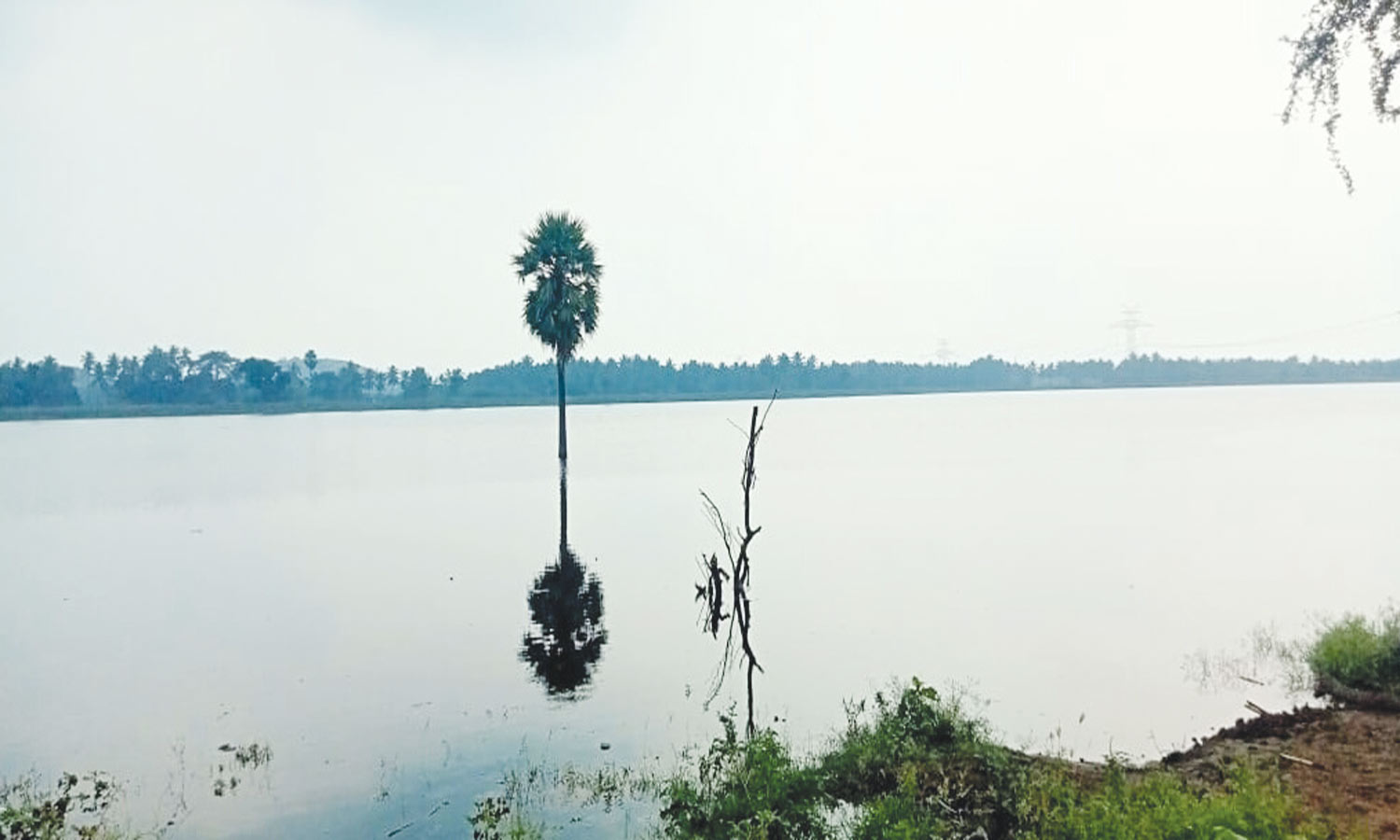 குடியாத்தத்தில் 3 ஏரிகள் நிரம்பியது