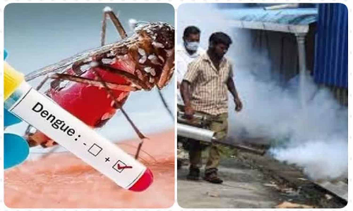 டெங்கு பரவல் அதிகரிப்பு - தெருக்கள்தோறும் புகைமருந்து அடிக்க வேண்டுகோள்